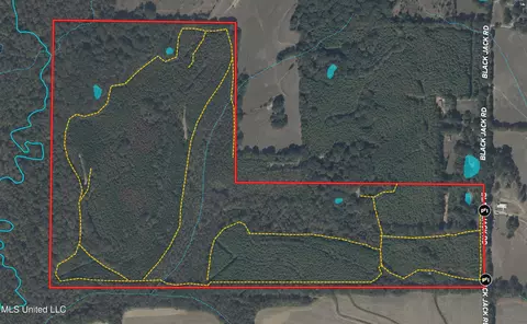 745 Black Jack Rd, Benton, MS 39039 photo 47