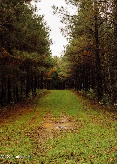 745 Black Jack Rd, Benton, MS 39039 photo 35