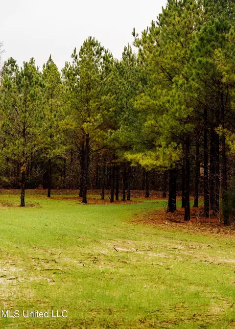 745 Black Jack Rd, Benton, MS 39039 photo 23
