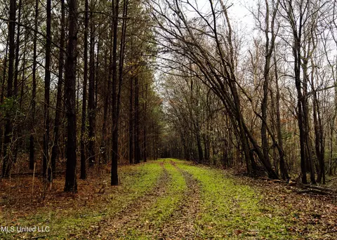 745 Black Jack Rd, Benton, MS 39039 photo 27