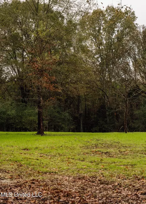 745 Black Jack Rd, Benton, MS 39039 photo 7