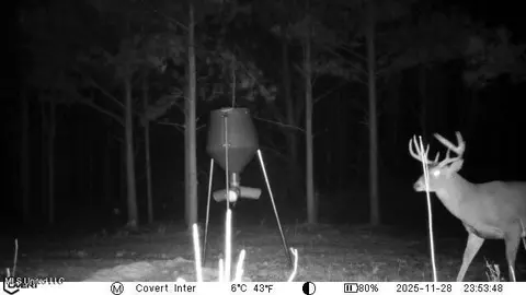 745 Black Jack Rd, Benton, MS 39039 photo 45