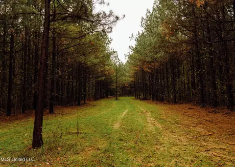 745 Black Jack Rd, Benton, MS 39039 photo 32