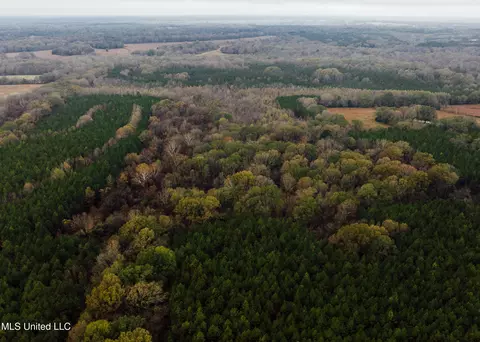 745 Black Jack Rd, Benton, MS 39039 photo 3
