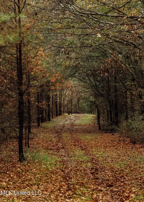 745 Black Jack Rd, Benton, MS 39039 photo 19