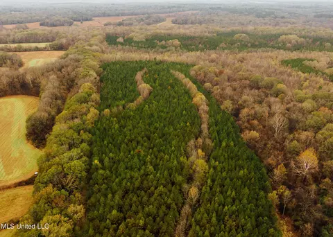 745 Black Jack Rd, Benton, MS 39039 photo 9