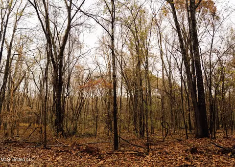 745 Black Jack Rd, Benton, MS 39039 photo 31