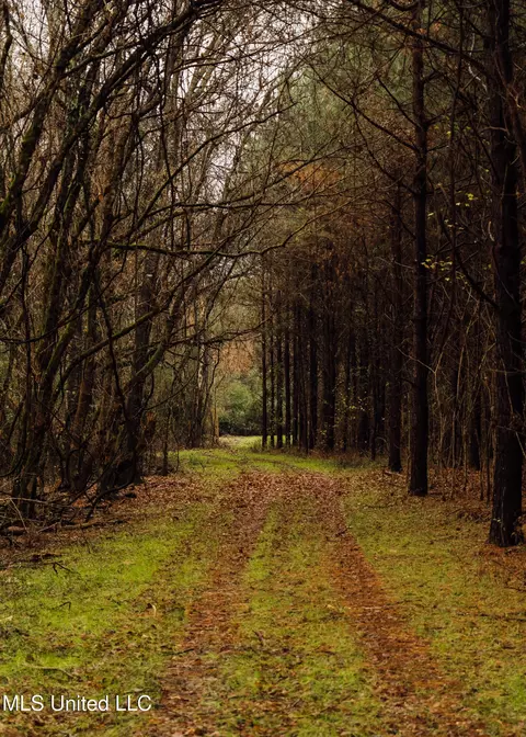 745 Black Jack Rd, Benton, MS 39039 photo 28