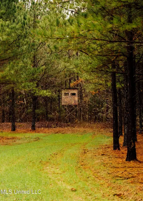 745 Black Jack Rd, Benton, MS 39039 photo 41