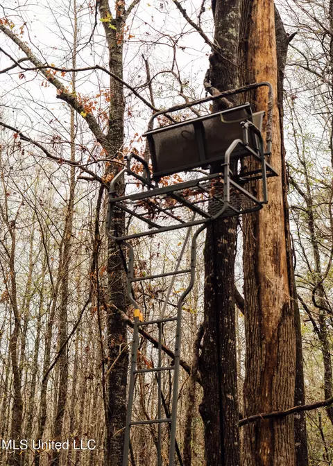 745 Black Jack Rd, Benton, MS 39039 photo 6