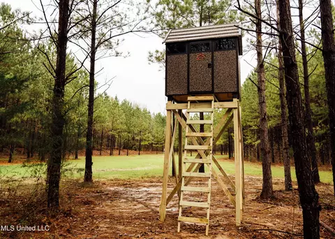 745 Black Jack Rd, Benton, MS 39039 photo 21