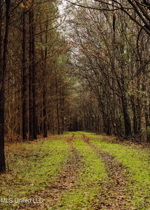 745 Black Jack Rd, Benton, MS 39039