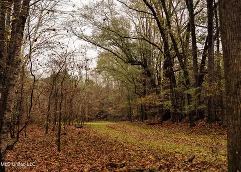 745 Black Jack Rd, Benton, MS 39039 photo 15