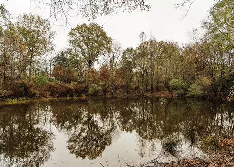 745 Black Jack Rd, Benton, MS 39039 photo 29
