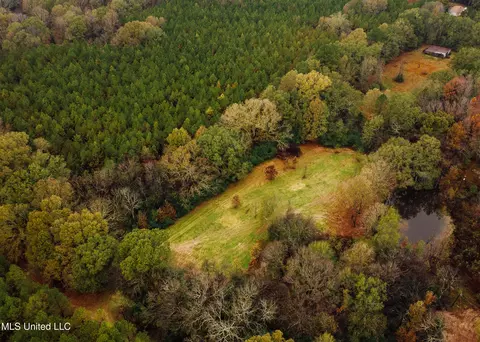 745 Black Jack Rd, Benton, MS 39039 photo 2