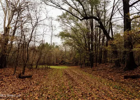 745 Black Jack Rd, Benton, MS 39039 photo 38