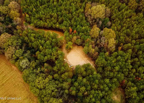 745 Black Jack Rd, Benton, MS 39039 photo 8