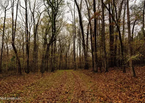 745 Black Jack Rd, Benton, MS 39039 photo 25
