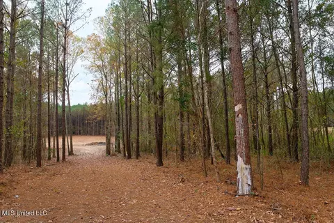 00002 Trickhambridge Rd, Brandon, MS 39042 photo 16