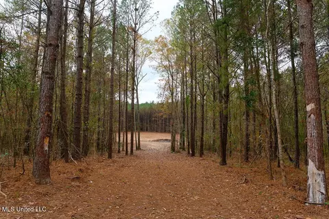 00002 Trickhambridge Rd, Brandon, MS 39042 photo 17