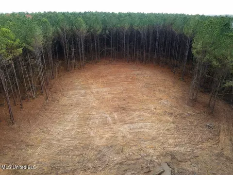 00002 Trickhambridge Rd, Brandon, MS 39042 photo 6
