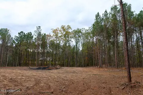 00002 Trickhambridge Rd, Brandon, MS 39042 photo 26