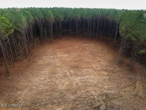 00002 Trickhambridge Rd, Brandon, MS 39042 photo 5