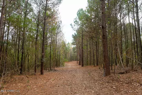 00002 Trickhambridge Rd, Brandon, MS 39042 photo 13