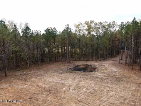 00002 Trickhambridge Rd, Brandon, MS 39042 photo 10