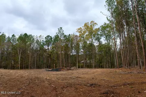 00002 Trickhambridge Rd, Brandon, MS 39042 photo 21