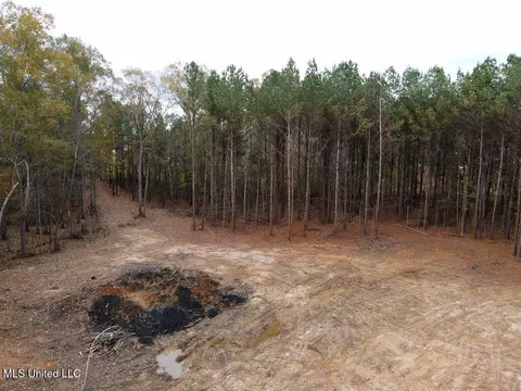 00002 Trickhambridge Rd, Brandon, MS 39042 photo 9