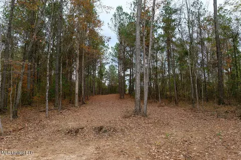00002 Trickhambridge Rd, Brandon, MS 39042 photo 27