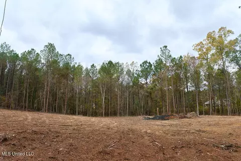 00002 Trickhambridge Rd, Brandon, MS 39042 photo 22