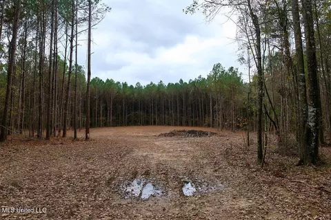 00002 Trickhambridge Rd, Brandon, MS 39042 photo 18