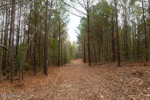 00002 Trickhambridge Rd, Brandon, MS 39042 photo 12