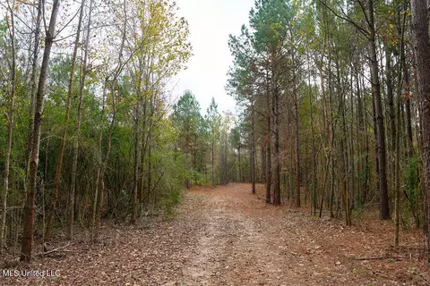 00002 Trickhambridge Rd, Brandon, MS 39042 photo 14