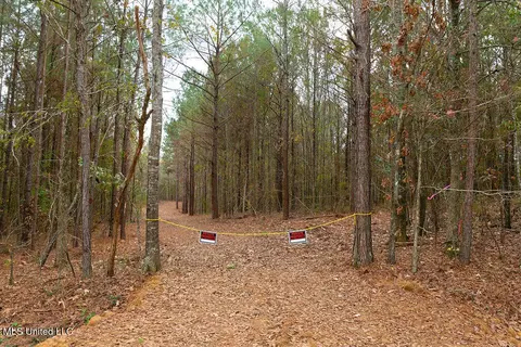 00002 Trickhambridge Rd, Brandon, MS 39042 photo 11