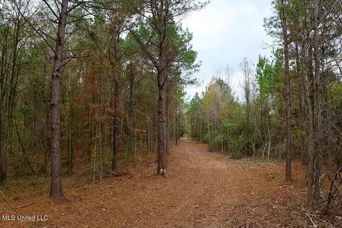 00002 Trickhambridge Rd, Brandon, MS 39042 photo 15