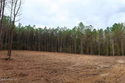 00002 Trickhambridge Rd, Brandon, MS 39042 photo 20