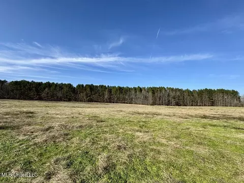 00002 Johnson Line Rd, Bolton, MS 39041