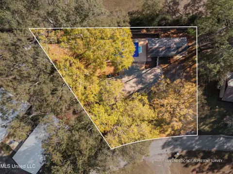 View/Area - 162 Jane Dr, Lucedale, MS 39452 photo 1 of 4
