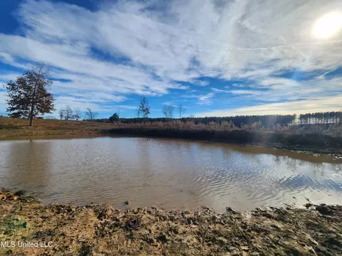 0 Steward Rd, Senatobia, MS 38668 photo 10