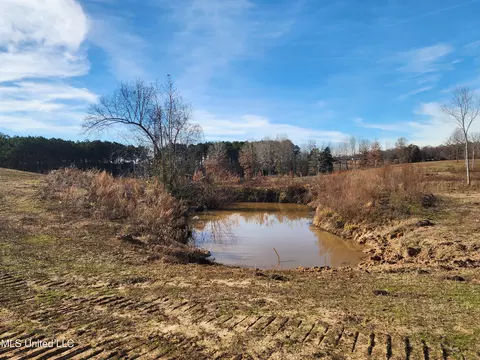 0 Steward Rd, Senatobia, MS 38668 photo 15
