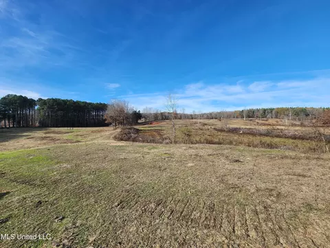 0 Steward Rd, Senatobia, MS 38668 photo 4