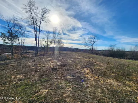0 Steward Rd, Senatobia, MS 38668 photo 13