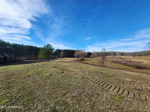 0 Steward Rd, Senatobia, MS 38668 photo 5