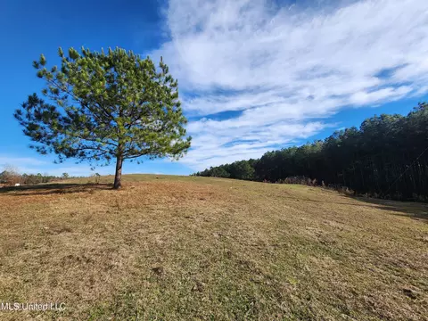 0 Steward Rd, Senatobia, MS 38668 photo 6