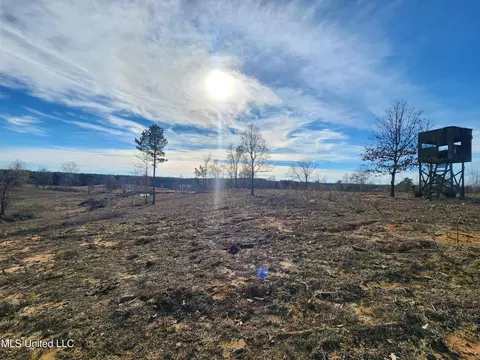 0 Steward Rd, Senatobia, MS 38668 photo 14