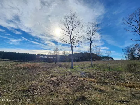 0 Steward Rd, Senatobia, MS 38668 photo 9