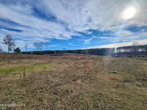 0 Steward Rd, Senatobia, MS 38668 photo 8